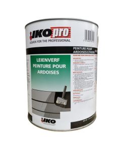 PEINTURE ARDOISES IKO 5L